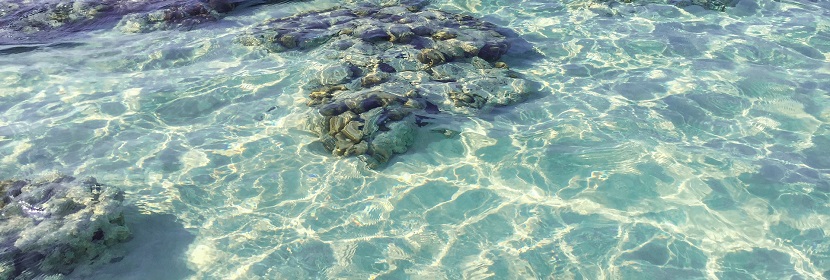 近海水下地形測(cè)量